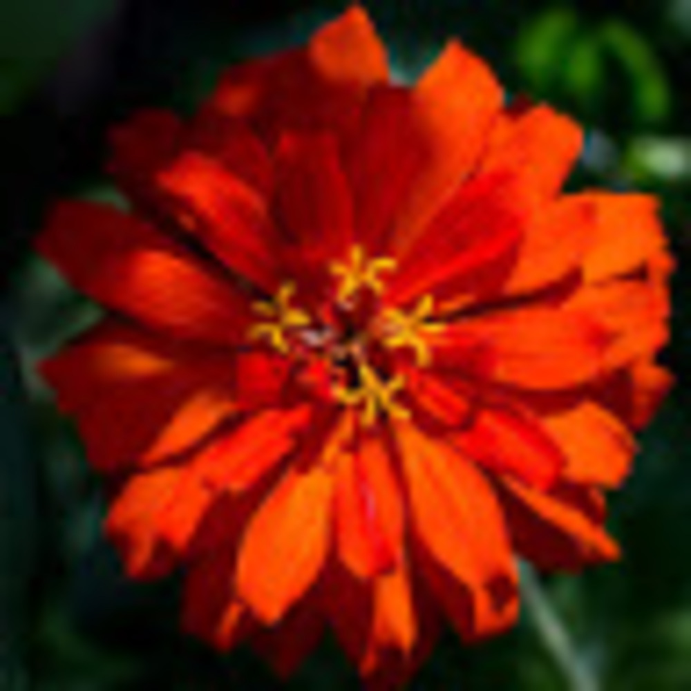 Meet your Posher, Summer